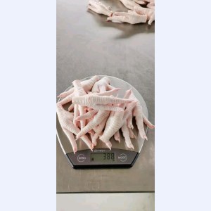 巴西凤爪-0