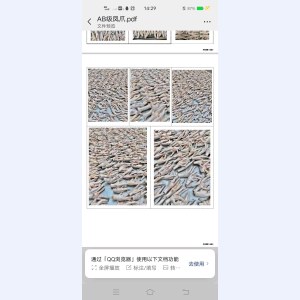 白俄罗斯凤爪A级-0