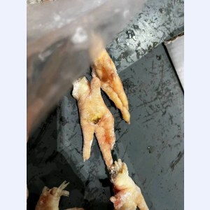美国1284厂凤爪鸡爪-0