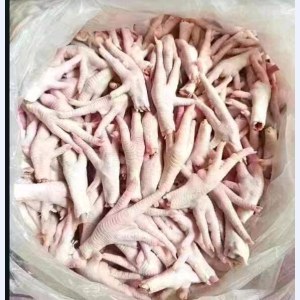 巴西凤爪现货-0