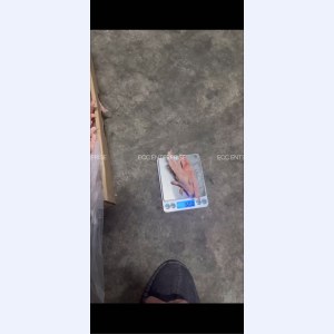 白俄罗斯冷冻鸡爪（凤爪）30+现货-0