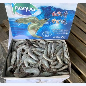 沙特盐冻虾40/50-0