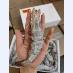 桑塔盐冻虾20/30南美白虾-0