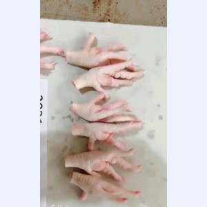 巴西凤爪-0