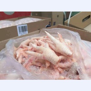 巴西凤爪期货-0